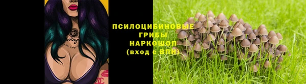 Альфа ПВП Аркадак