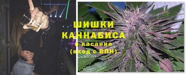 прущие грибы Армянск