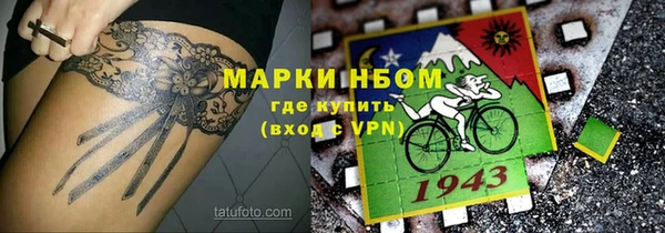прущие грибы Армянск