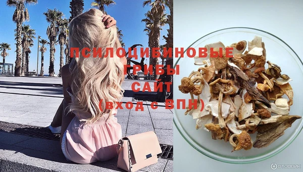 прущие грибы Армянск