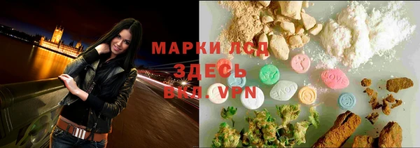 прущие грибы Армянск