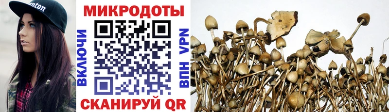как найти наркотики  Пугачёв  Галлюциногенные грибы прущие грибы 